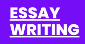 I provide profesional academic writing services for all academic papers.